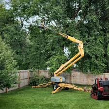 Best Commercial Tree Services  in Altamonte Springs, FL